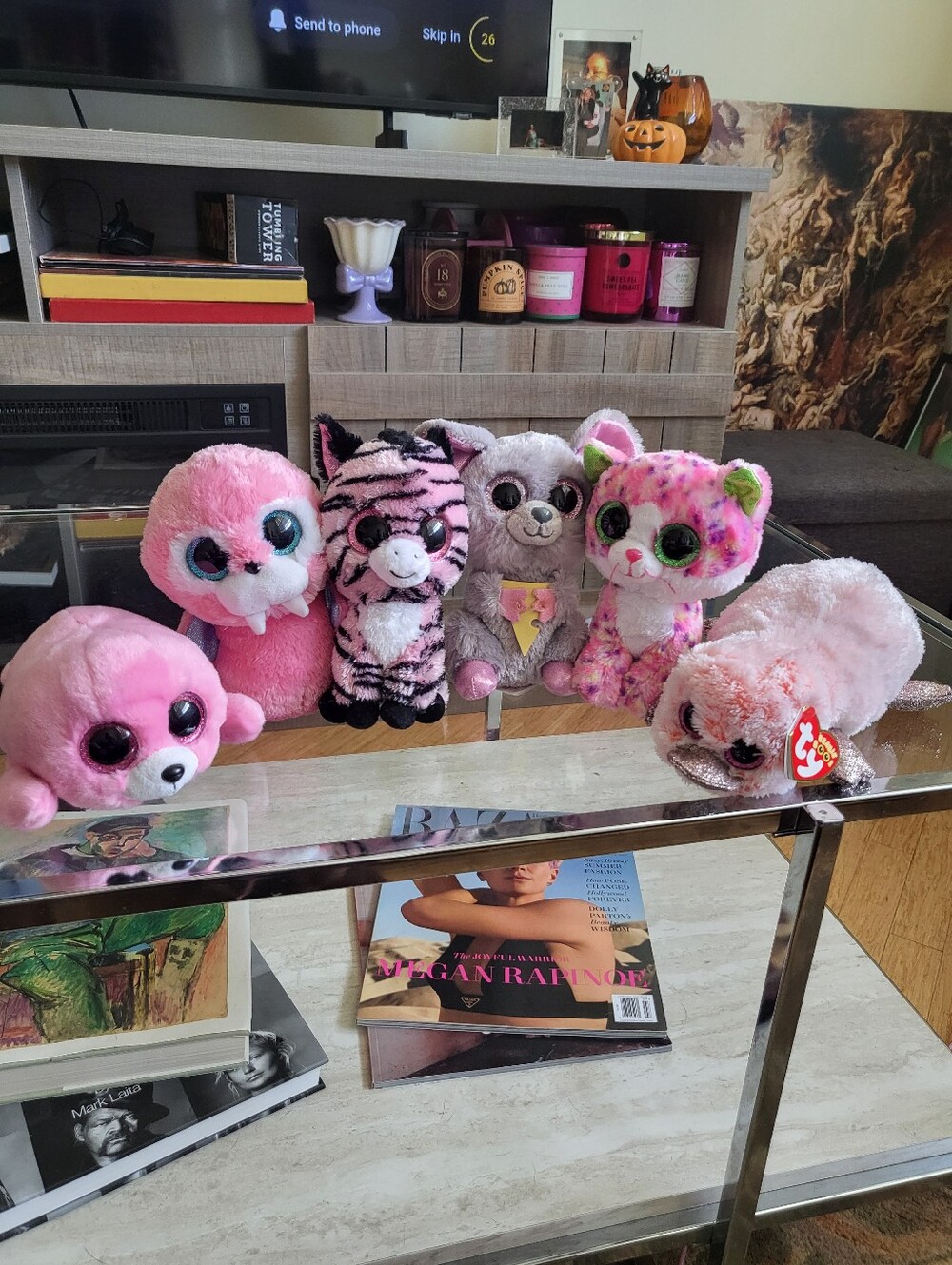 TY Beanie Boos Mixed Lot (6)